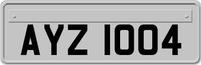 AYZ1004