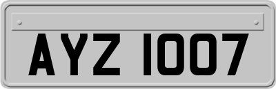 AYZ1007