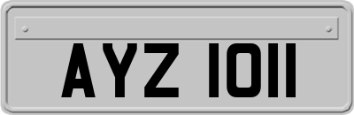 AYZ1011