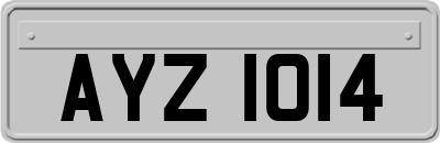 AYZ1014