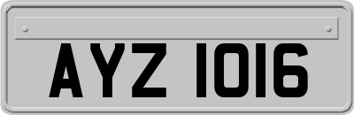 AYZ1016