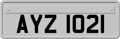 AYZ1021