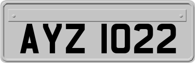 AYZ1022