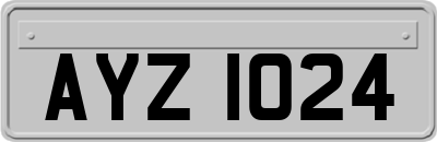 AYZ1024