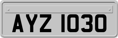 AYZ1030