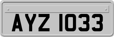 AYZ1033