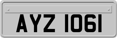AYZ1061