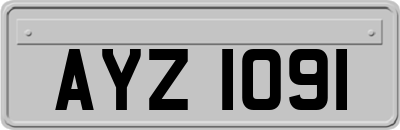 AYZ1091