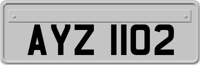 AYZ1102