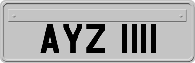 AYZ1111