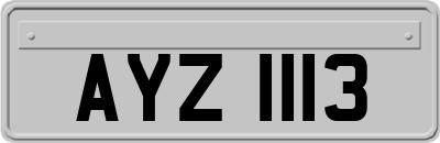 AYZ1113
