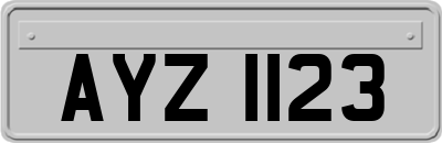 AYZ1123