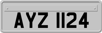 AYZ1124