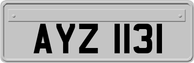 AYZ1131