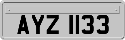 AYZ1133