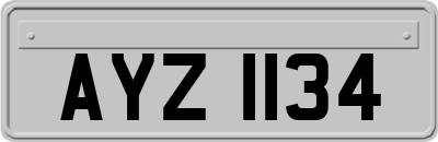 AYZ1134