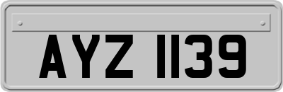 AYZ1139