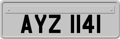AYZ1141