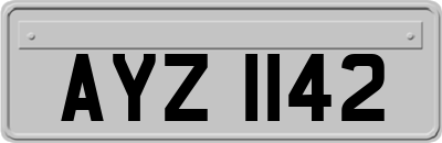 AYZ1142