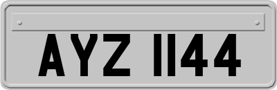 AYZ1144