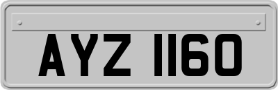 AYZ1160