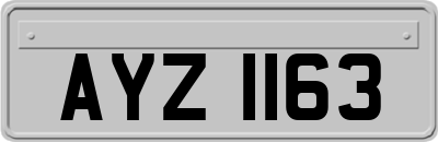 AYZ1163