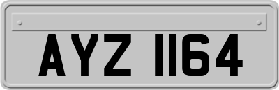 AYZ1164