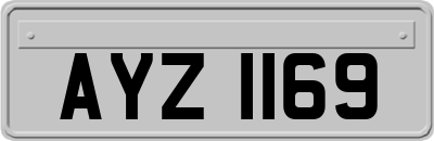 AYZ1169