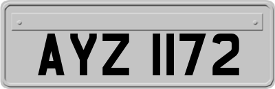 AYZ1172