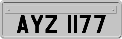 AYZ1177