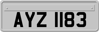 AYZ1183