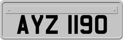 AYZ1190