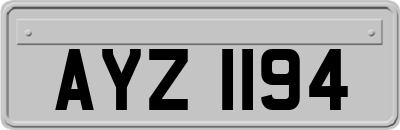 AYZ1194