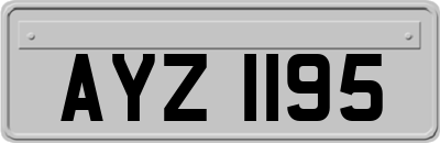 AYZ1195
