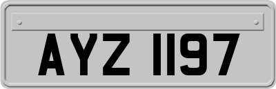 AYZ1197