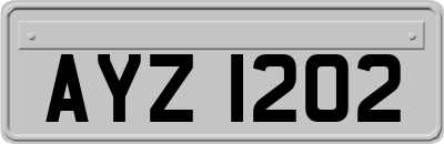 AYZ1202