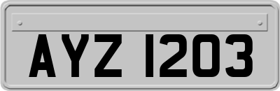 AYZ1203
