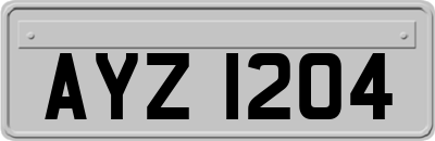 AYZ1204