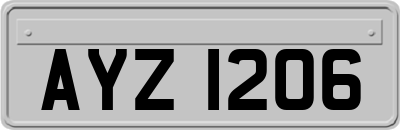 AYZ1206