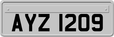 AYZ1209