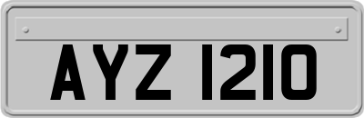 AYZ1210