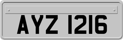 AYZ1216