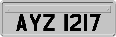 AYZ1217