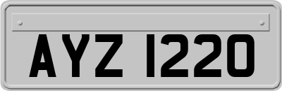 AYZ1220
