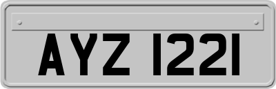AYZ1221