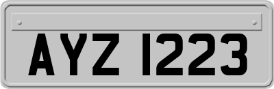 AYZ1223