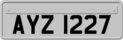 AYZ1227
