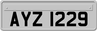 AYZ1229