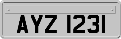 AYZ1231