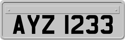 AYZ1233
